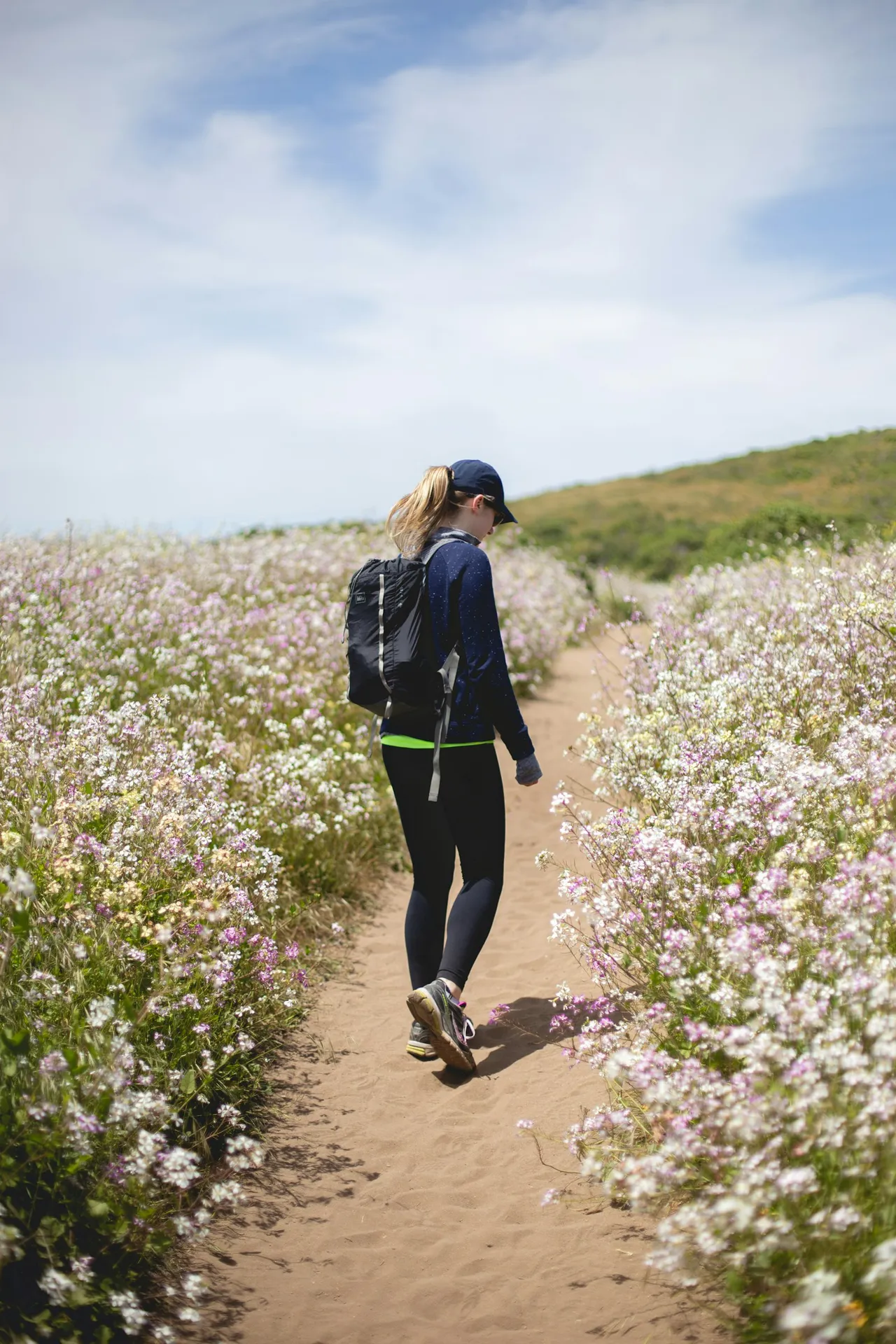 A woman with a backpack walks along a trail through a flowering field on a sunny day