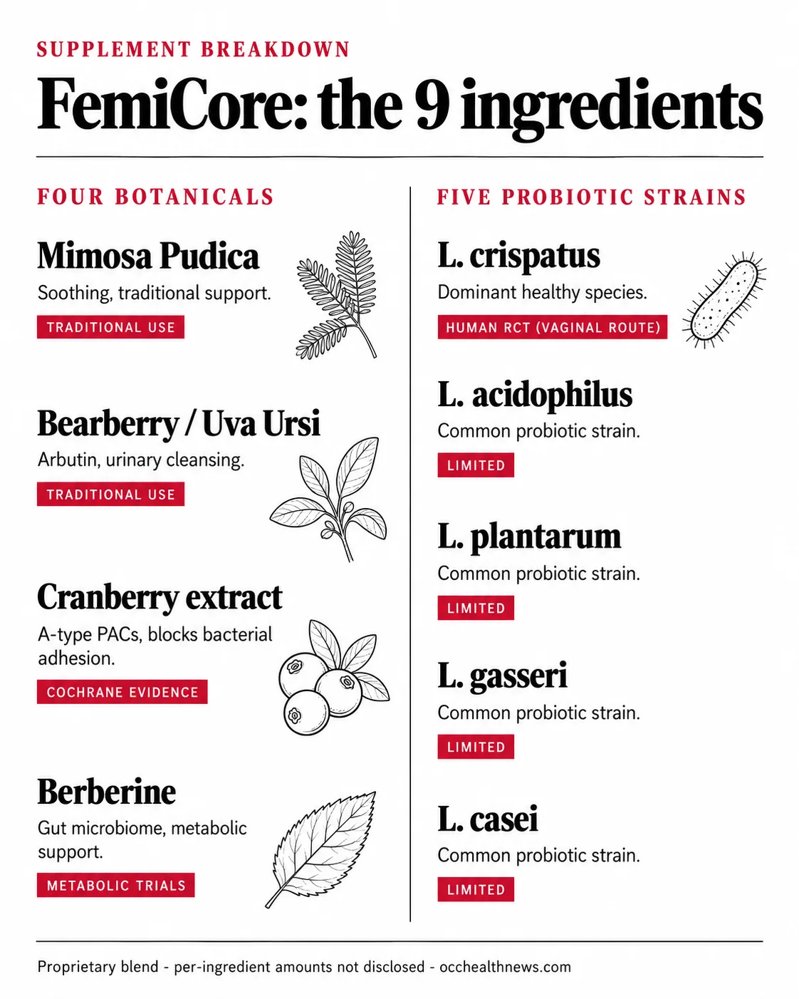 FemiCore ingredients infographic: the nine ingredients grouped into four botanicals and five Lactobacillus probiotic strains, with the evidence level for each
