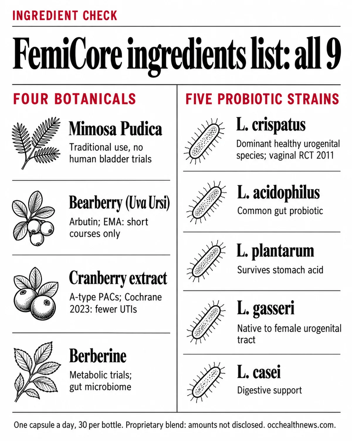 FemiCore ingredients infographic: the four botanicals and five Lactobacillus strains, with a one-line evidence note for each
